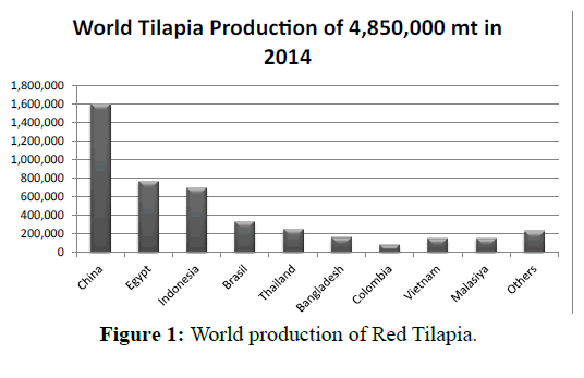 pescaciencias-producción-mundial pescaciencias-producción-mundial
