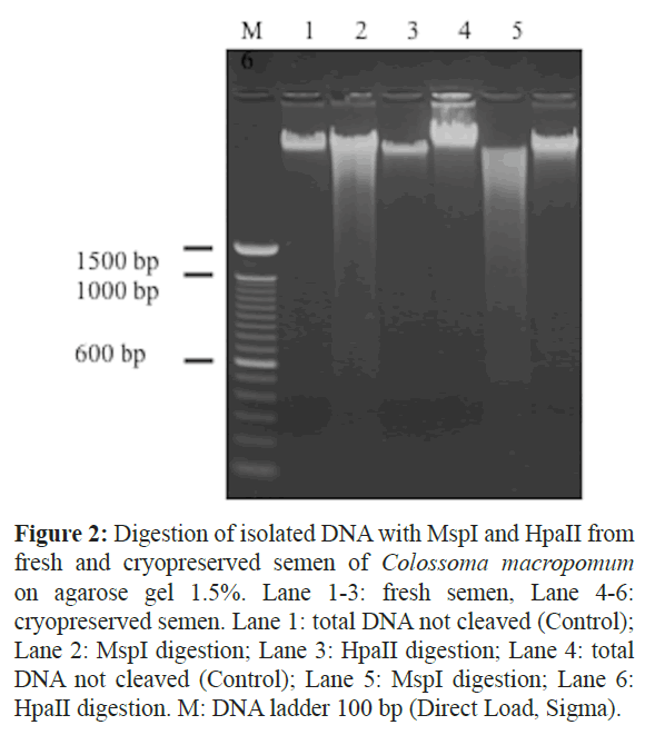 journal of fisheriessciences com