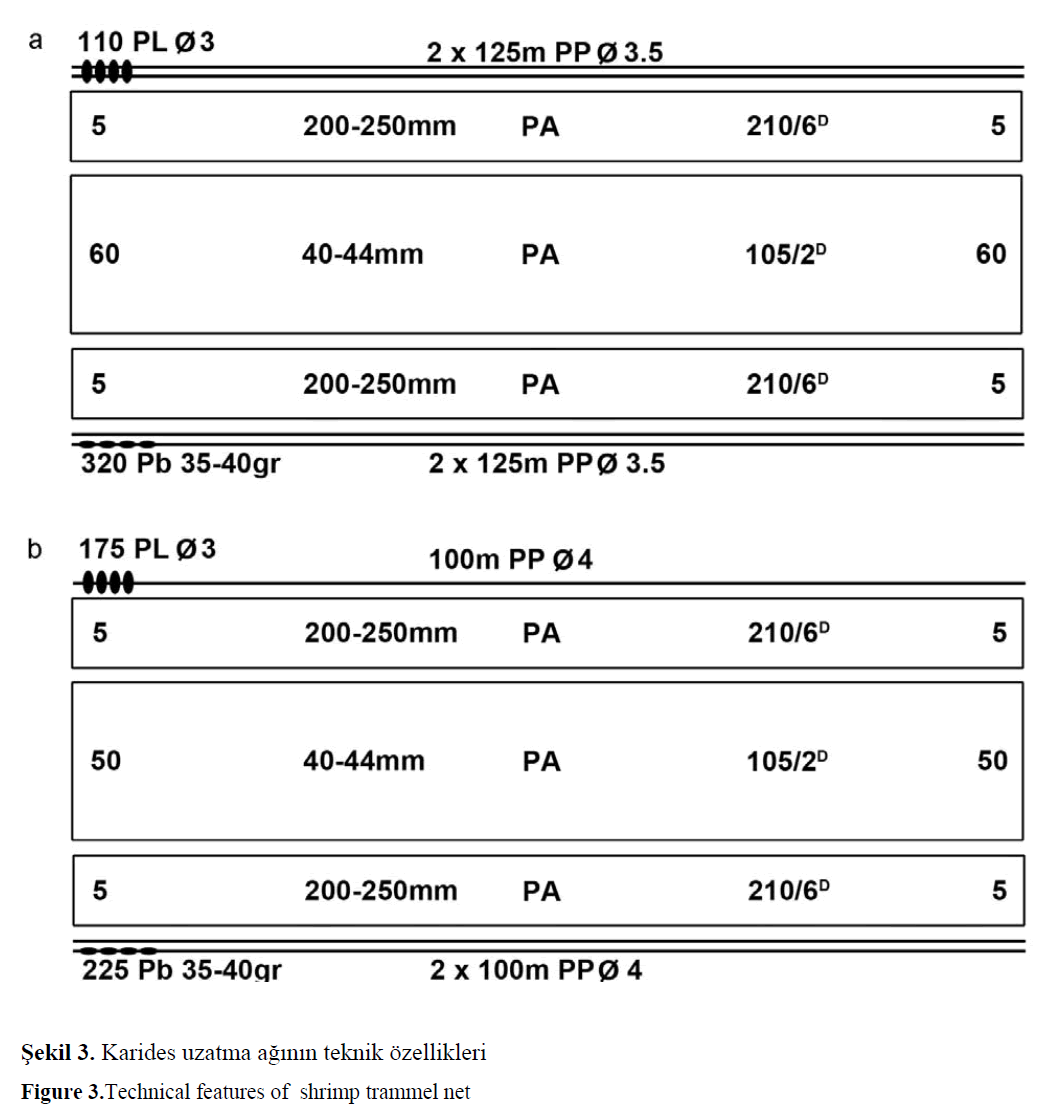 Characteristics of shrimp catching with trammel nets in Iskenderun